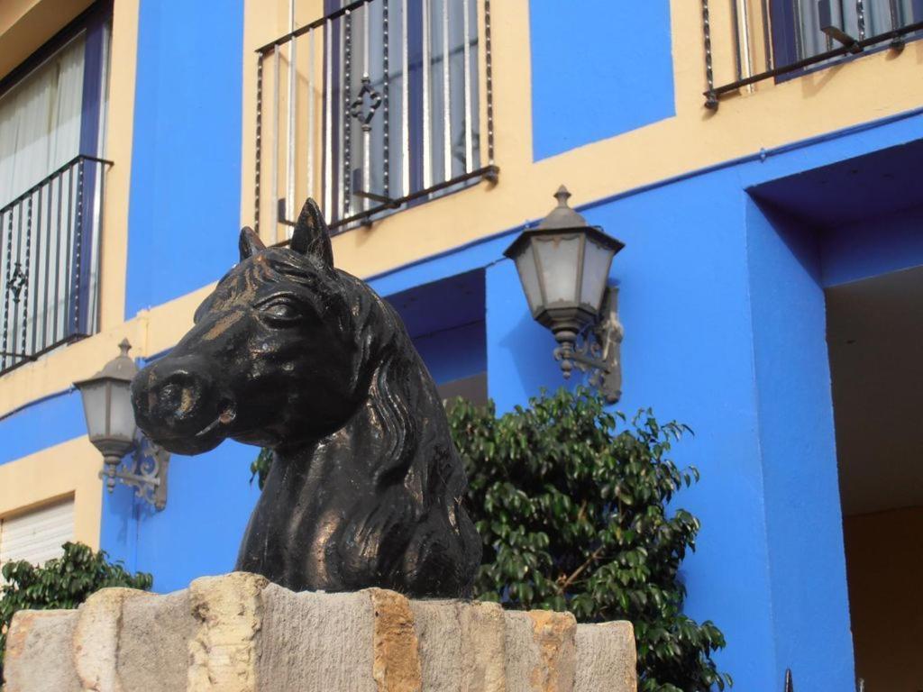 Hotel Caballo Negro Puerto Real Ngoại thất bức ảnh